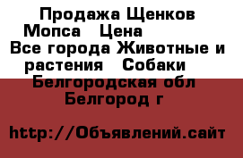 Продажа Щенков Мопса › Цена ­ 18 000 - Все города Животные и растения » Собаки   . Белгородская обл.,Белгород г.